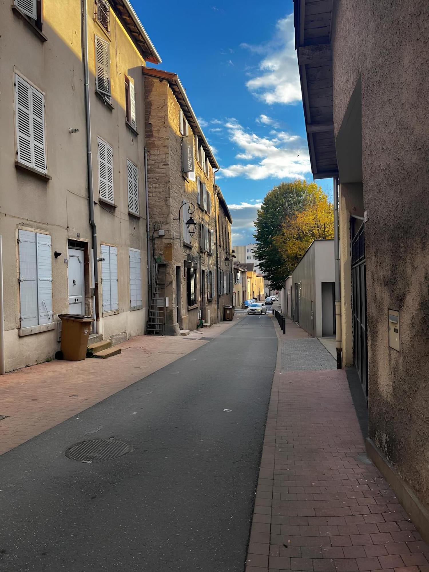 ヴィルフランシュ・シュル・ソーヌTinyhouse Experience In Beaujolaisアパートメント エクステリア 写真